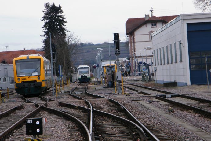 Bericht im Kaiserstühler : Die Bedenken der Bürgerinitiative bleiben bestehen